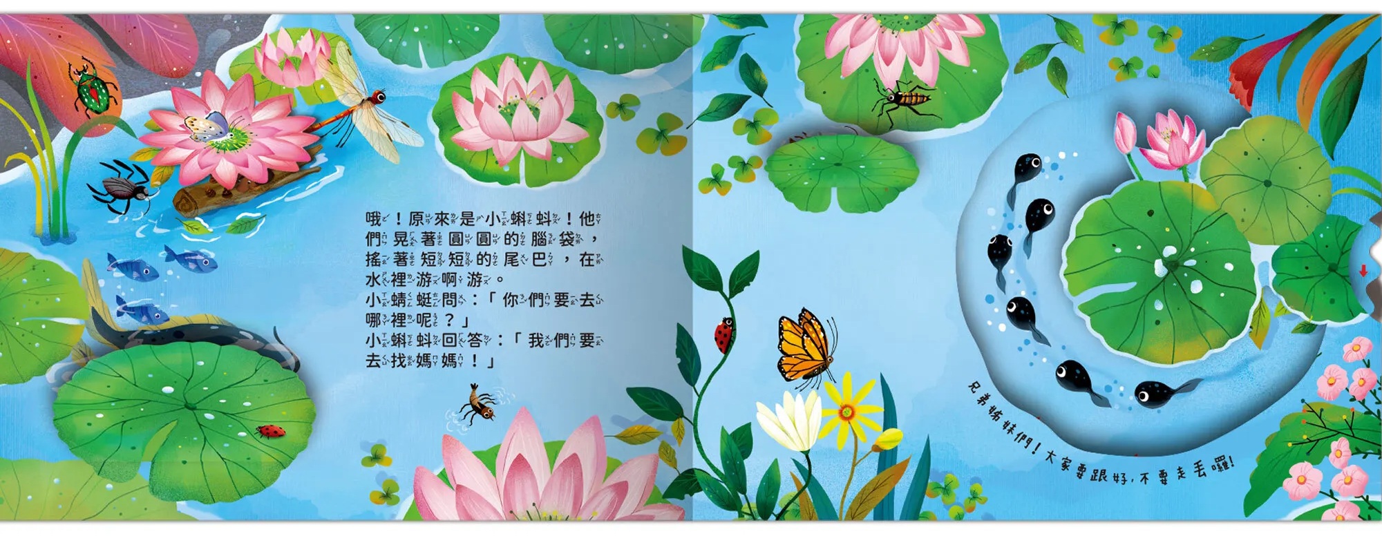 成長歷險立體繪本-小蝌蚪要找媽媽